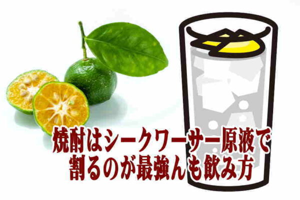 焼酎レモンサワーの作り方でポッカレモンをプラスするのは身体に悪い？
